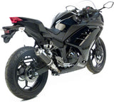 Terminale Di Scarico Senza Omologazione Suono Gp Corsa Carbonio - Leovince Compatibile Con Kawasaki Ninja 250 R (2013-2016)