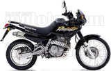 Terminale Di Scarico Con Omologazione Suono Paris Dacar Inox Acciaio - Arrow Special Parts Compatibile Con Honda Nx 650 Dominator (1987-1993)