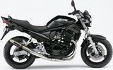 Terminale Di Scarico Con Omologazione Suono Deeptone Acciaio - Gpr Compatibile Con Suzuki Gsf 650 Bandit - S (2005-2006)