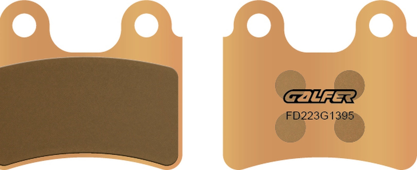 Rear Sintered Trial Brake Pads - Galfer Compatible With Ajp Pr 4 125 Enduro (2005-2009)