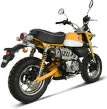 Terminale Di Scarico Senza Omologazione Suono Acciaio Inox Coppa Carbonio - Termignoni Compatibile Con Honda Monkey 125 (2018-2020)