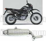 Terminale Di Scarico Senza Omologazione Suono Paris Dacar Inox Acciaio - Arrow Special Parts Compatibile Con Yamaha Xt 600 E (1995-2001)