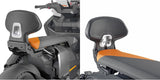 Schienalino - Givi Compatibile Con Bmw Ce 04 (2022-2024)